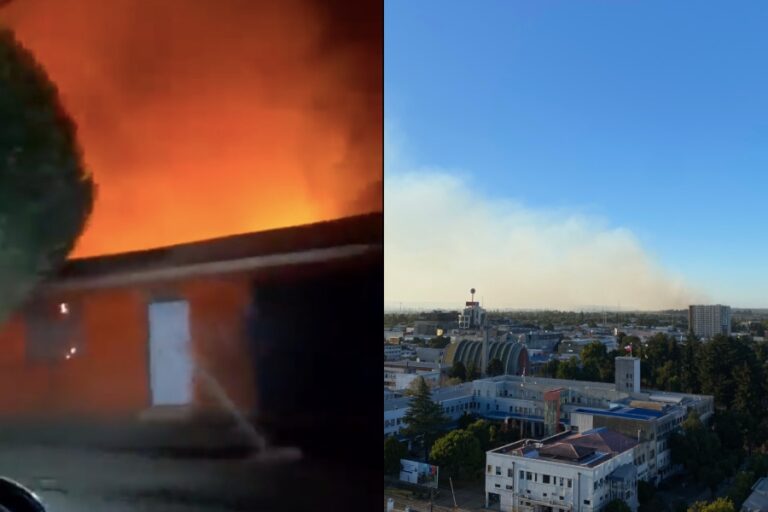 Gobernador del Ñuble por incendio forestal en Chillán: 