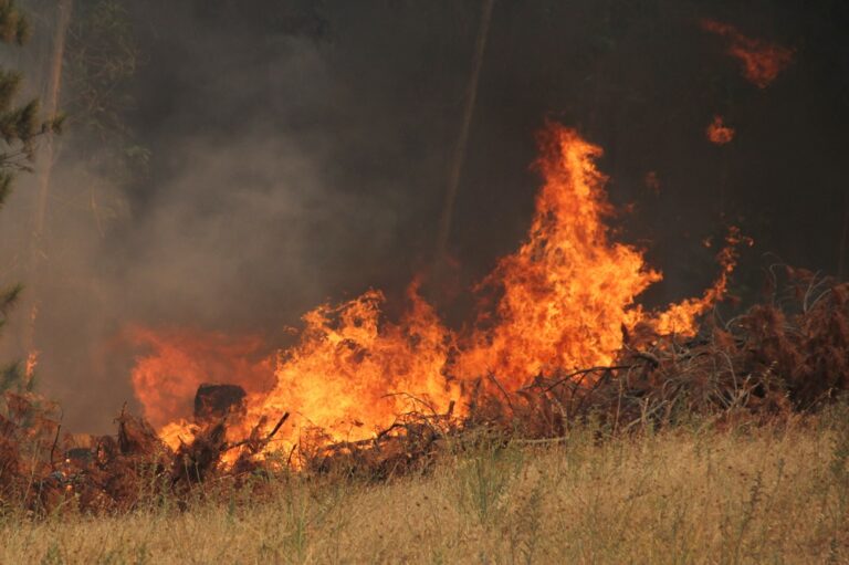 Declaran alerta roja para Valdivia y Corral por “inminente” amenaza de incendios forestales a viviendas