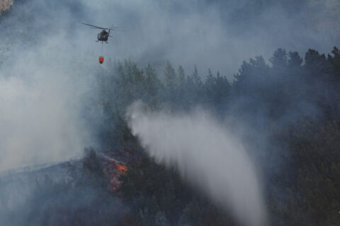 Reportan 303 incendios forestales activos y 82 en combate