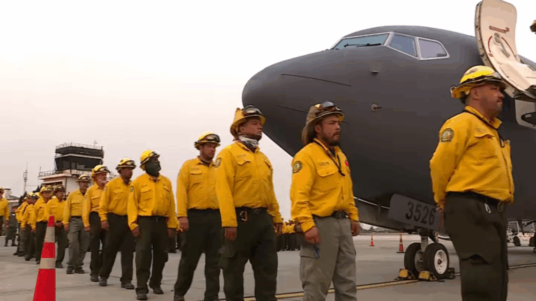 Llegan 150 brigadistas mexicanos a la Región del Biobío para sumarse al combate de los incendios