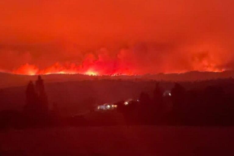 “Vivimos momentos de terror”: Alcalde de Ninhue relata cómo fue la angustiante evacuación por los incendios