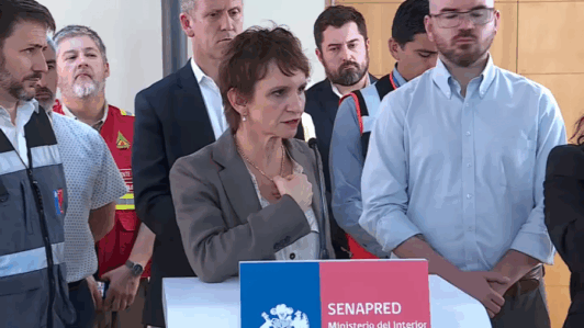 Ministra Tohá confirma la muerte de 4 personas por los incendios forestales