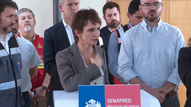 Ministra Tohá confirma la muerte de 4 personas por los incendios forestales