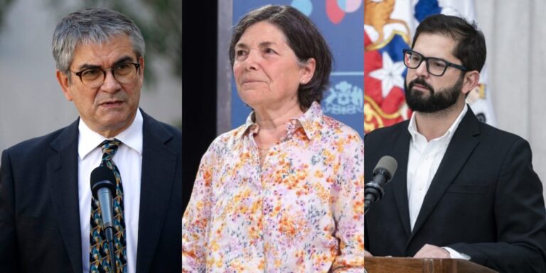 Cadem: 47% aprueba la gestión del Gobierno frente a los incendios forestales
