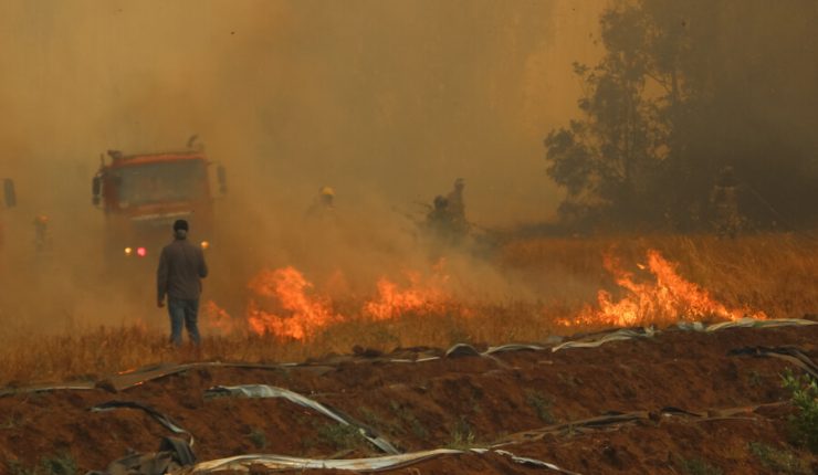 Senapred llama a evacuar sectores de Mitrinhue y Altos de Mitrinhue por incendio forestal
