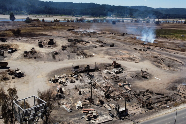 Incendios forestales: 26 siniestros en combate, más de 441 mil hectáreas afectadas y 50 detenidos