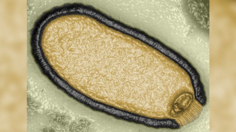 Científicos reviven virus “zombie” que pasó 48.500 años congelado en permafrost