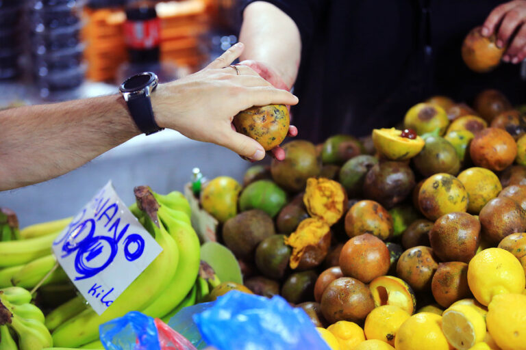 Bolsillo Familiar Electrónico: ¿Cómo funciona la nueva ayuda estatal aprobada por el Congreso?