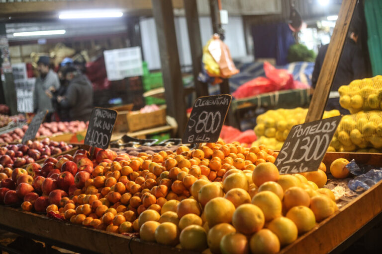 Inflación registra sorpresiva caída: IPC de febrero presentó una variación mensual de -0,1%