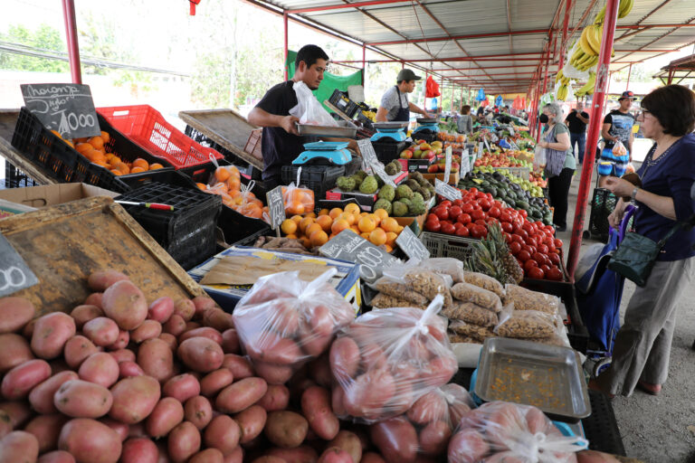 Bolsillo Familiar Electrónico: ¿Qué alimentos puedo comprar?