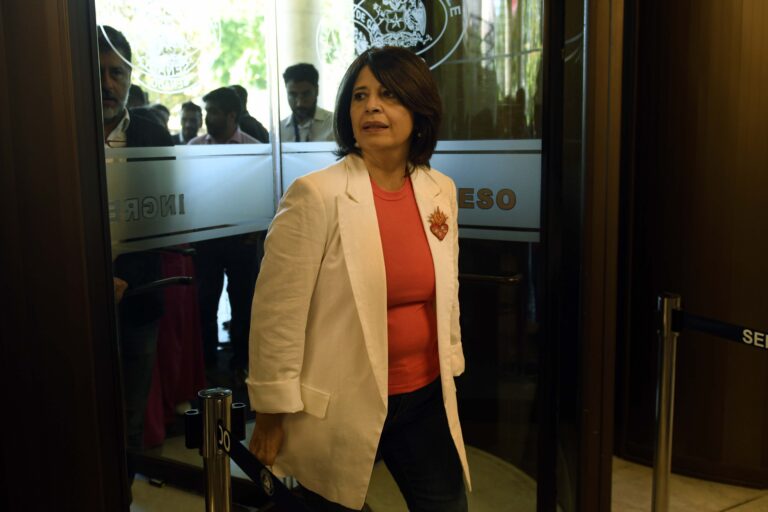 Ríos afirmó que rechazo del TC a requerimiento de Chile Vamos ratificó que 
