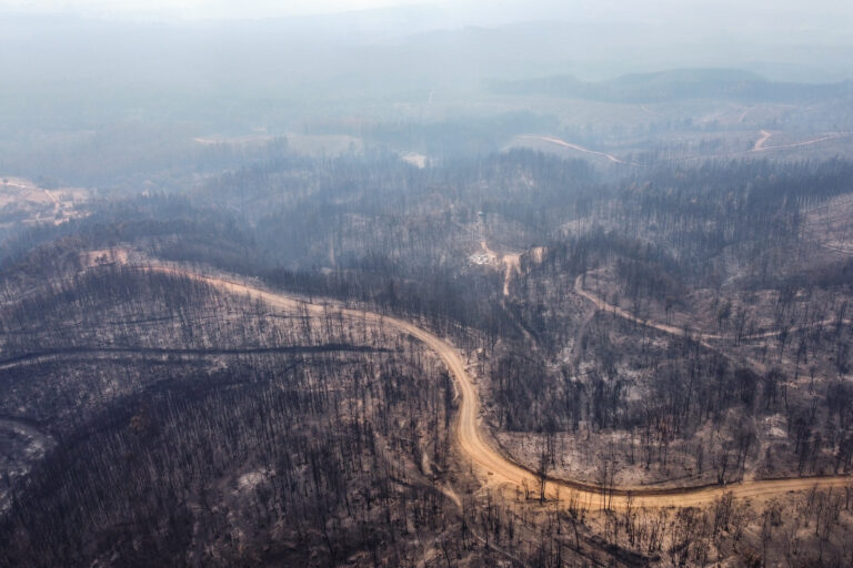 Incendios forestales: Senapred reportó 20 siniestros en combate, más de 438 mil hectáreas afectadas y 59 detenidos