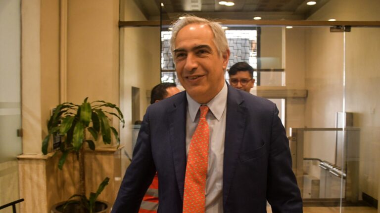 Chahuán sobre contenido de ley sobre la tabla de factores: 