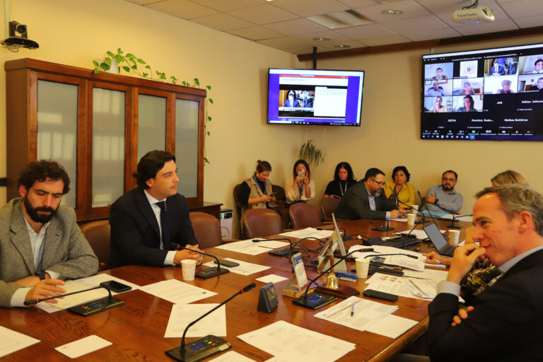 Comisión de Seguridad despachó proyecto que fusionó Ley Nain 2.0 y Ley Retamal