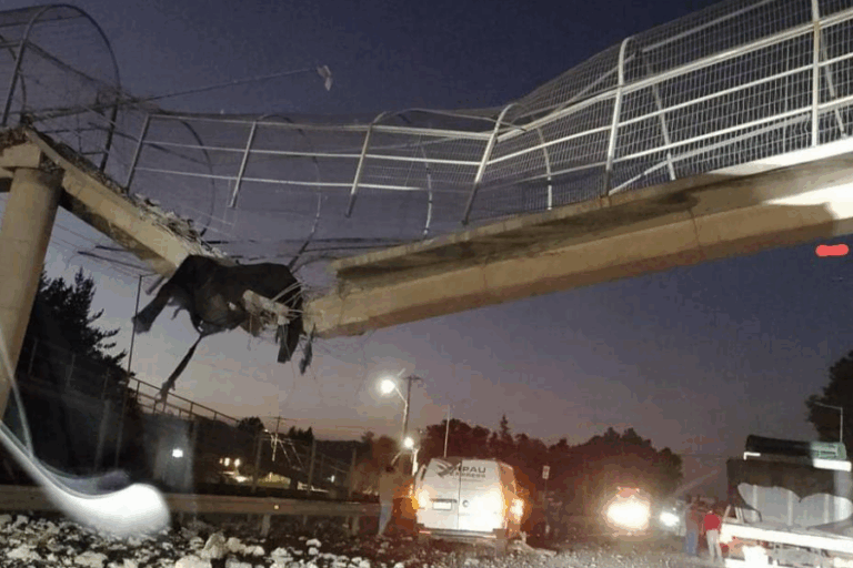 Pasarela queda destruida tras impacto de camión batea en las cercanías de Curicó