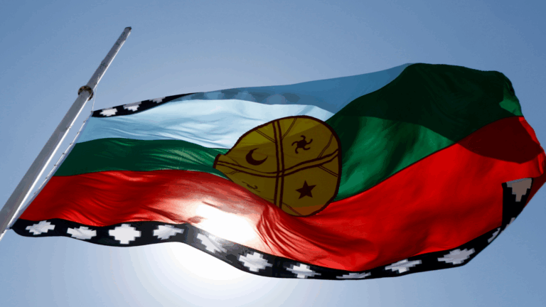 Diputados de Mendoza aprueban resolución que declara al pueblo mapuche 