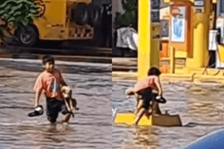 Niño salva a un perro en medio de inundaciones en Pérú