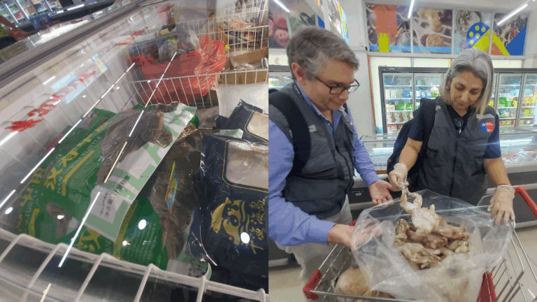 Carne de tortuga, calamar y patos: Seremi de Salud prohibió el funcionamiento de un supermercado en Estación Central