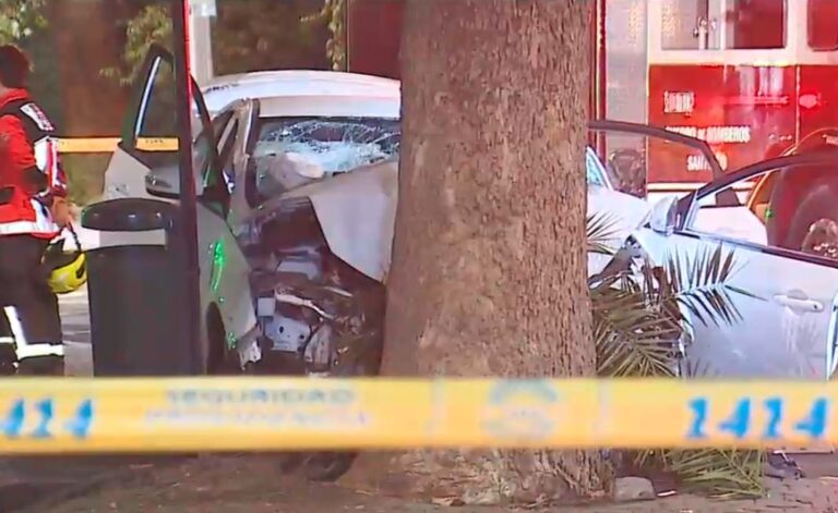 Conductor muere tras chocar contra un árbol en Providencia: Habría perdido el control del vehículo