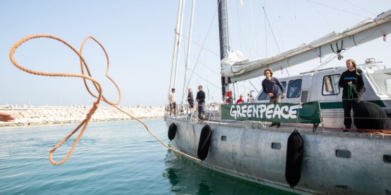 Barco ecológico de Greenpeace llegó a la patagonia chilena para constatar los impactos de la industria salmonera