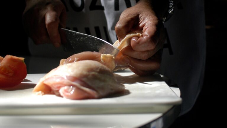 Primer caso de gripe aviar en industria local: Gobierno destacó 