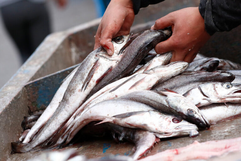 Semana Santa 2023: ¿Cómo escoger bien los pescados y mariscos?