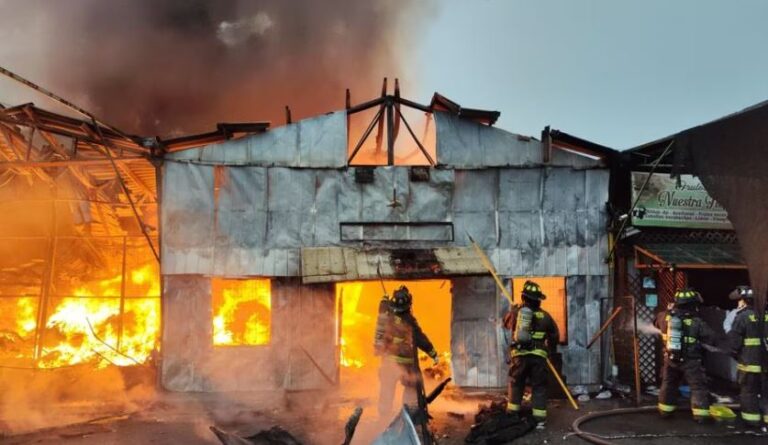 Incendio de gran magnitud deja 7 locales destruídos en feria mayorista en San Antonio