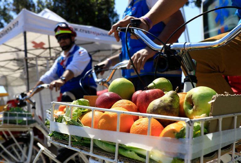 ¿Cuáles son las frutas de invierno y cómo vienen los precios?