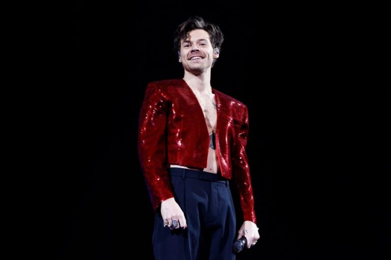 Nueva Zelandia realiza un censo e incluye a Harry Styles, quien se encuentra de gira en el país