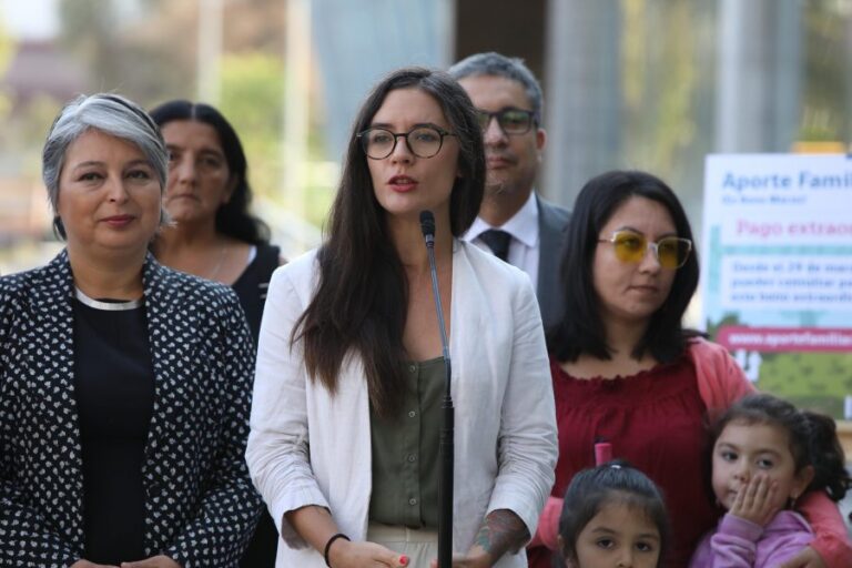 Ministra Vallejo por Ley Nain-Retamal: “No queremos gatillo fácil, porque después lo vamos a lamentar”