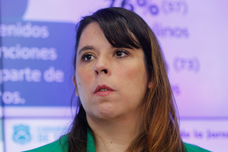 Delegada presidencial de la RM llamó a la 