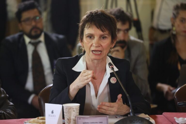 Ministra Tohá por sujeto abatido en procedimiento en San Antonio: 