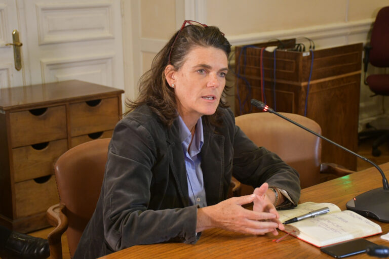 Bettina Horst, integrante de la Comisión Experta (UDI): 