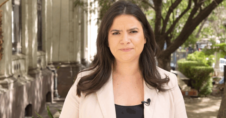 Ministra Orellana rechazó 