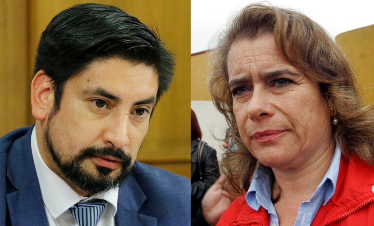 Diputada Weisse por sexto retiro: 
