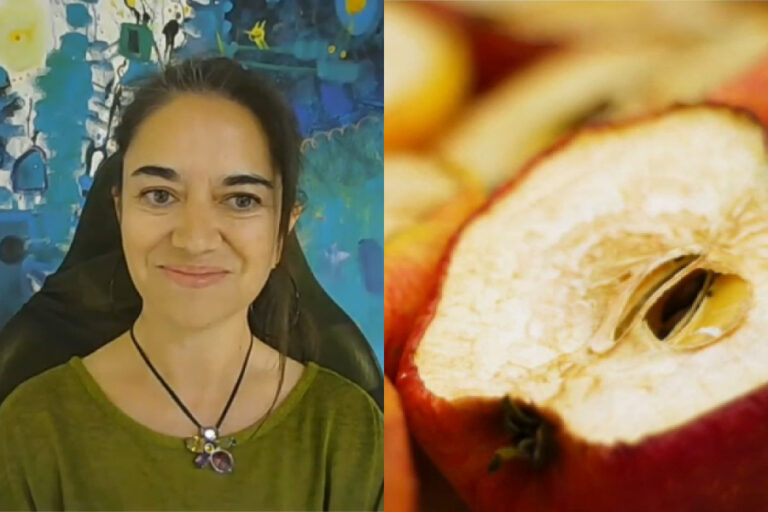 “El Arte del Hambre”: Crean obras con pinturas hechas a partir de alimentos desperdiciados
