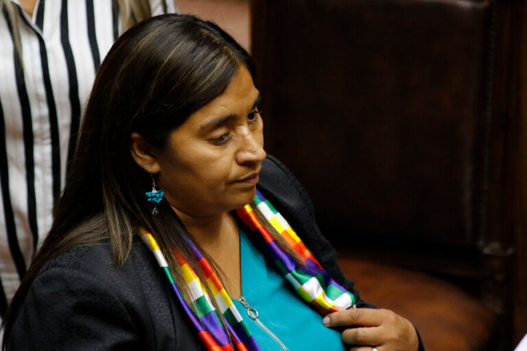 Senadora Fabiola Campillai solicitará el desafuero de la diputada María Luisa Cordero