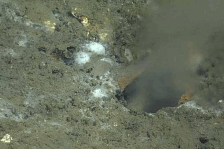 Detectan fuga en el suelo marino del Océano Pacífico: ¿Podría ser indicio de un gran terremoto?