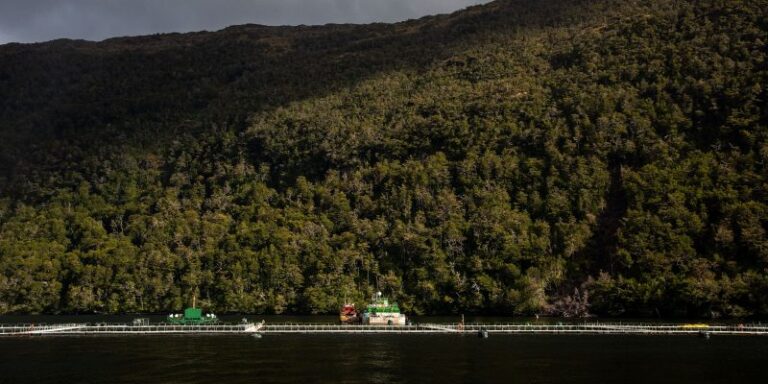 Después de dos semanas de navegación: Las postales del barco Witness en la Patagonia chilena