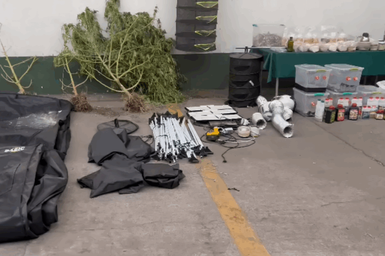 Ñuñoa: Desbaratan centro de marihuana y hongos alucinógenos gracias a la denuncia de un vecino