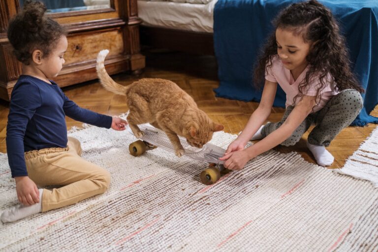 Perros y gatos podrían ayudar a proteger a los bebés de las alergias alimentarias