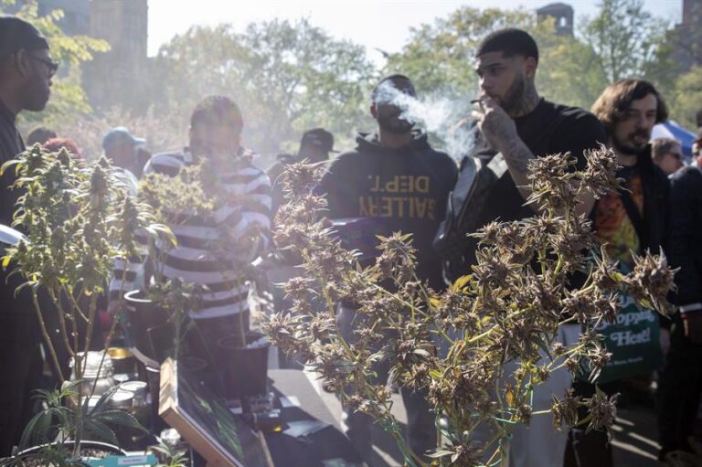 Estados Unidos: El estado de Minnesota legaliza el consumo recreativo de la marihuana