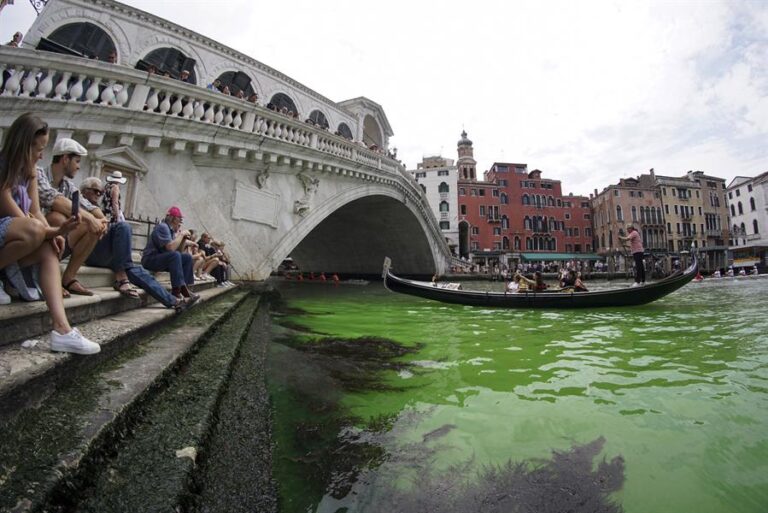 Italia: Aguas del canal de Venecia aparecen teñidas de verde fluorescente