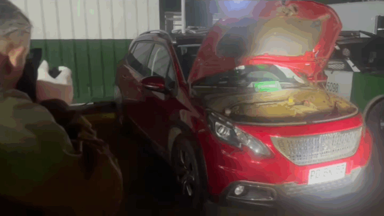 Detienen a dos sujetos tras portonazo y diversos robos en Renca y Conchalí