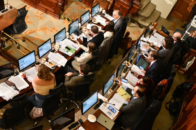 Columna de Jaime Tagle: ¿Estado social, subsidiario y democrático de Derecho?