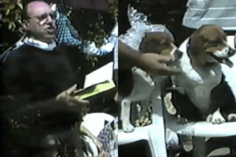 Una boda de perros: Hombre que colecciona VHS comparte el video más raro que ha encontrado