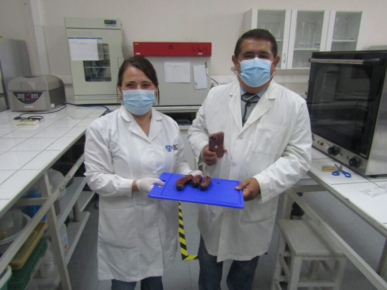 Académico chileno patenta una longaniza con menos grasa y fibra: El secreto es el uso de manzanas en su preparación