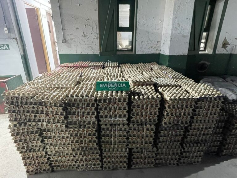 Detienen camión con más de 23 mil huevos de contrabando en Colchane: Intentaron sobornar a Carabineros