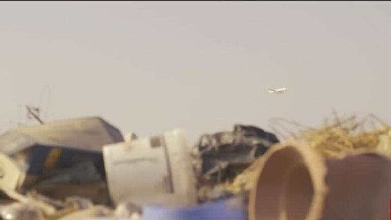 Presencia de aves obligó a atrasar vuelos en el aeropuerto de Santiago: ¿Por qué ocurrió esto?