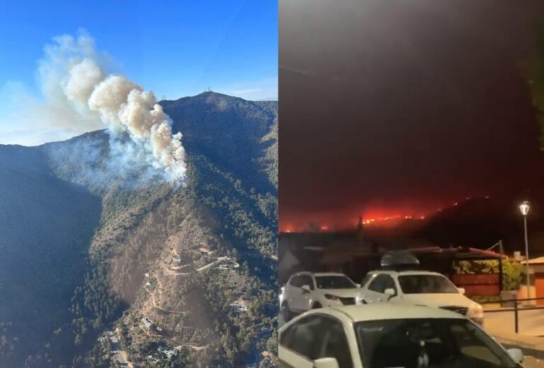Declaran Alerta Roja en Zapallar y Papudo por incendio forestal: Se registran 20 hectáreas consumidas